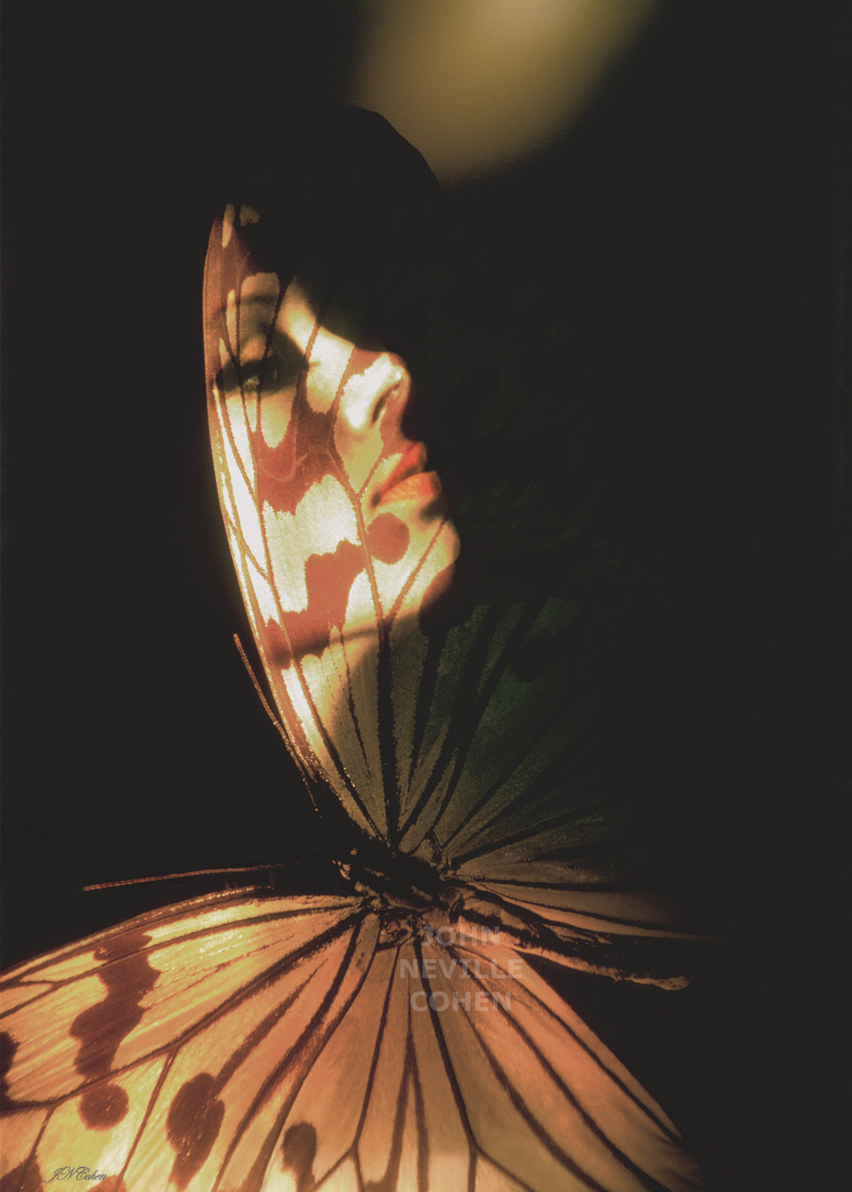Madam Butterfly, Painting with Light Projection Photography Limited Edition Prints for sale, maximum of 8, by John Neville Cohen.