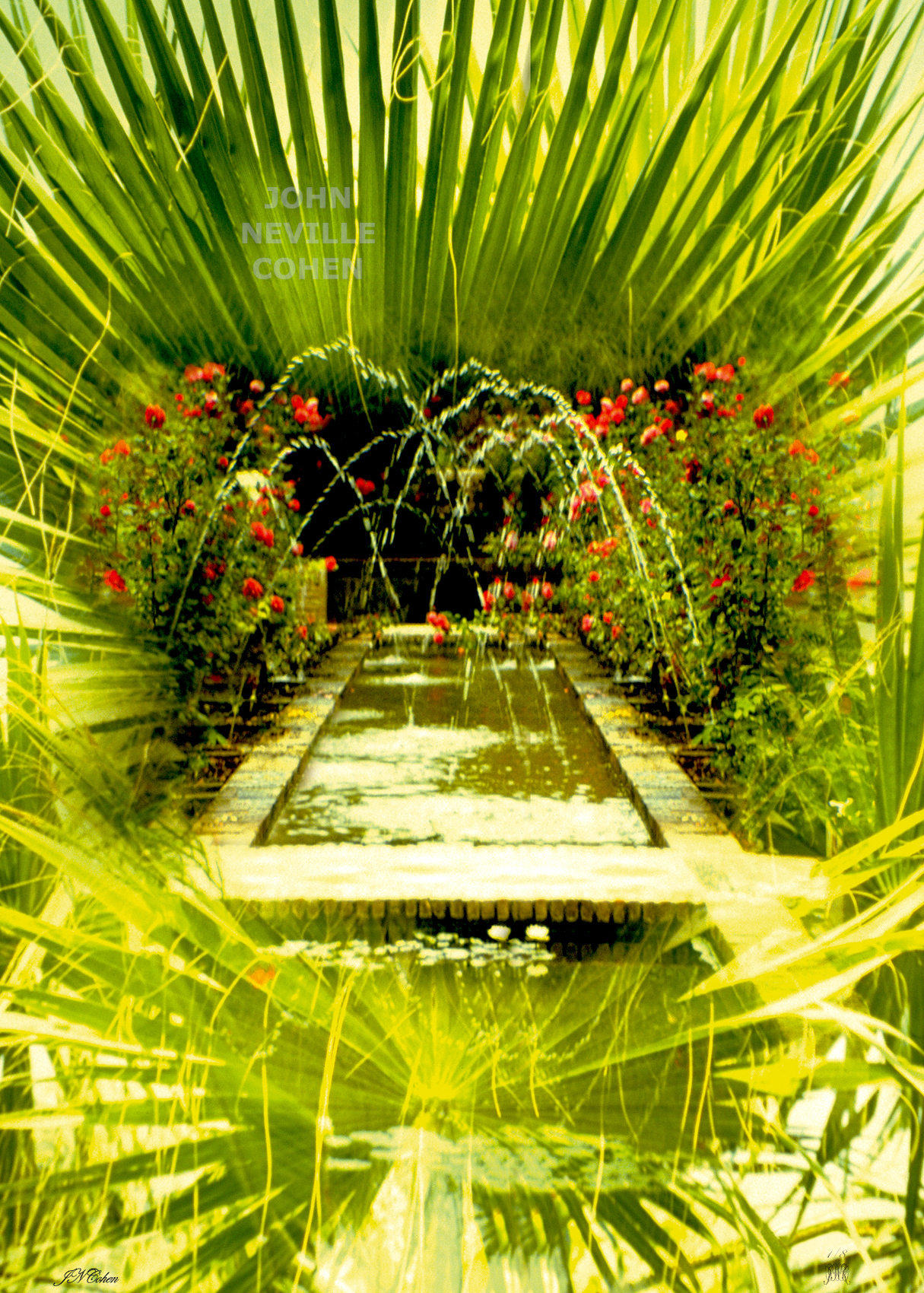 Water-Garden, Painting with Light Projection Photography Limited Edition Prints for sale, maximum of 8, by John Neville Cohen.