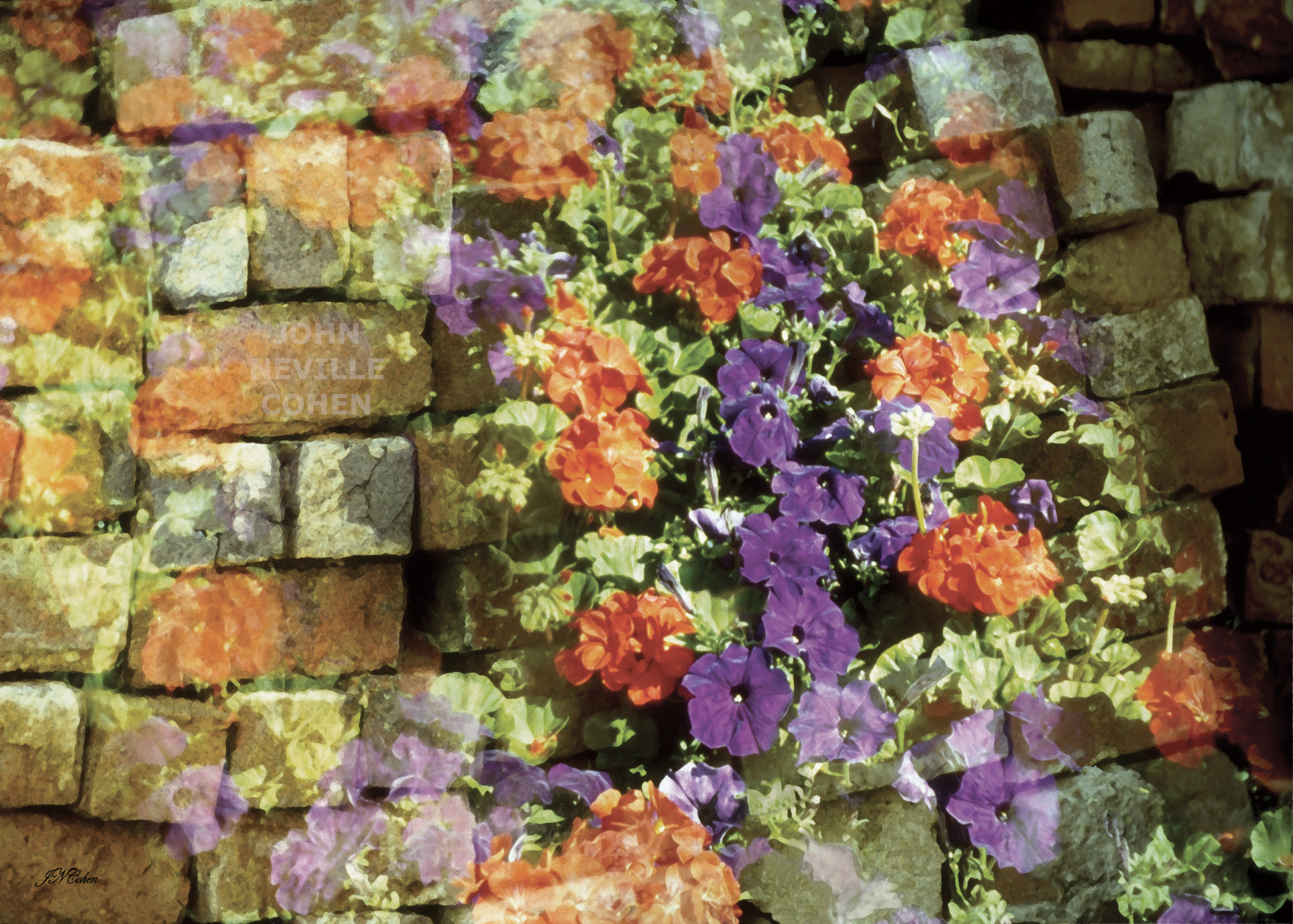 Cascading Flowers, Painting with Light Projection Photography Limited Edition Prints for sale, maximum of 8, by John Neville Cohen.