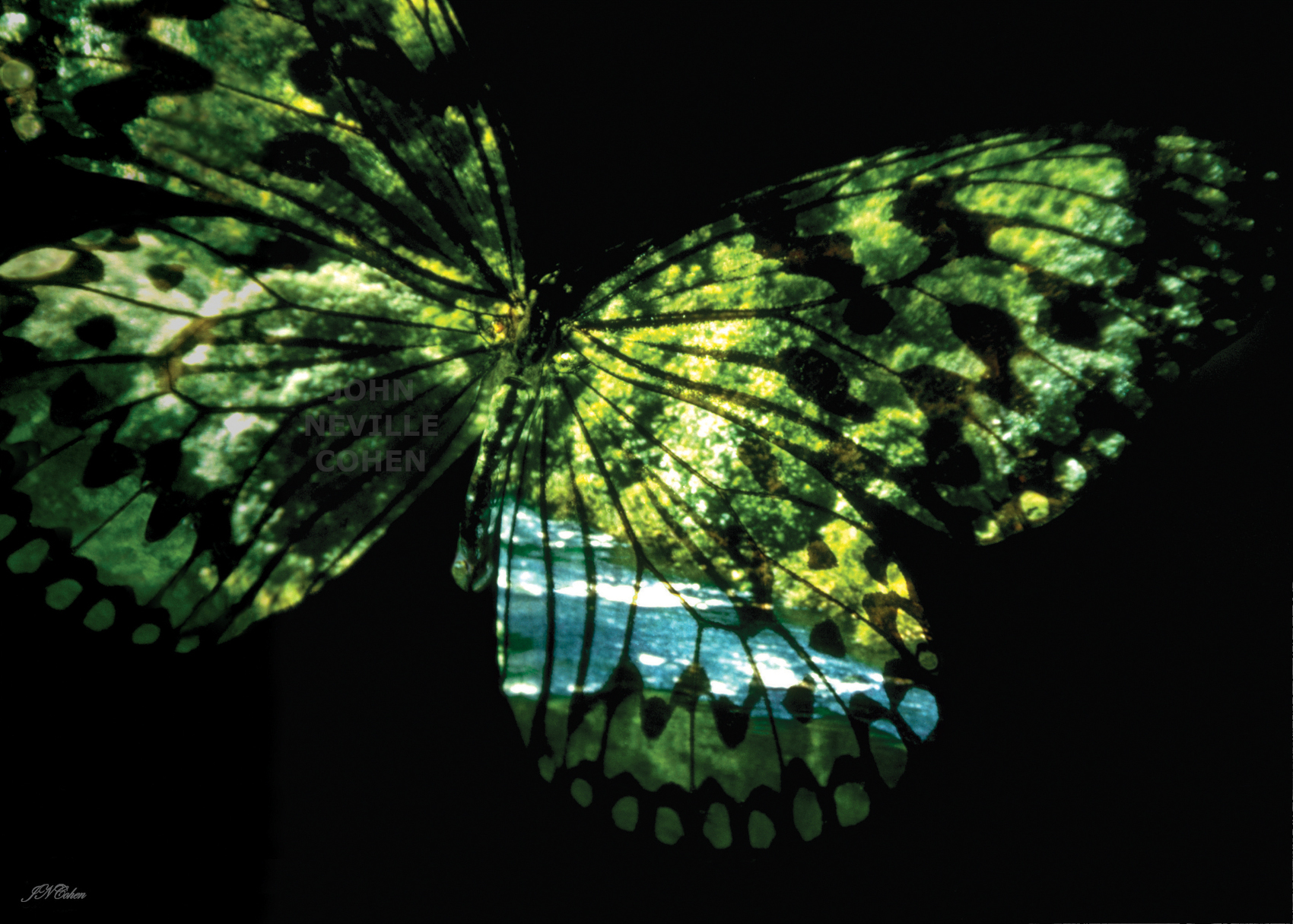 Butterfly Country, Painting with Light Projection Photography Limited Edition Prints for sale, maximum of 8, by John Neville Cohen.