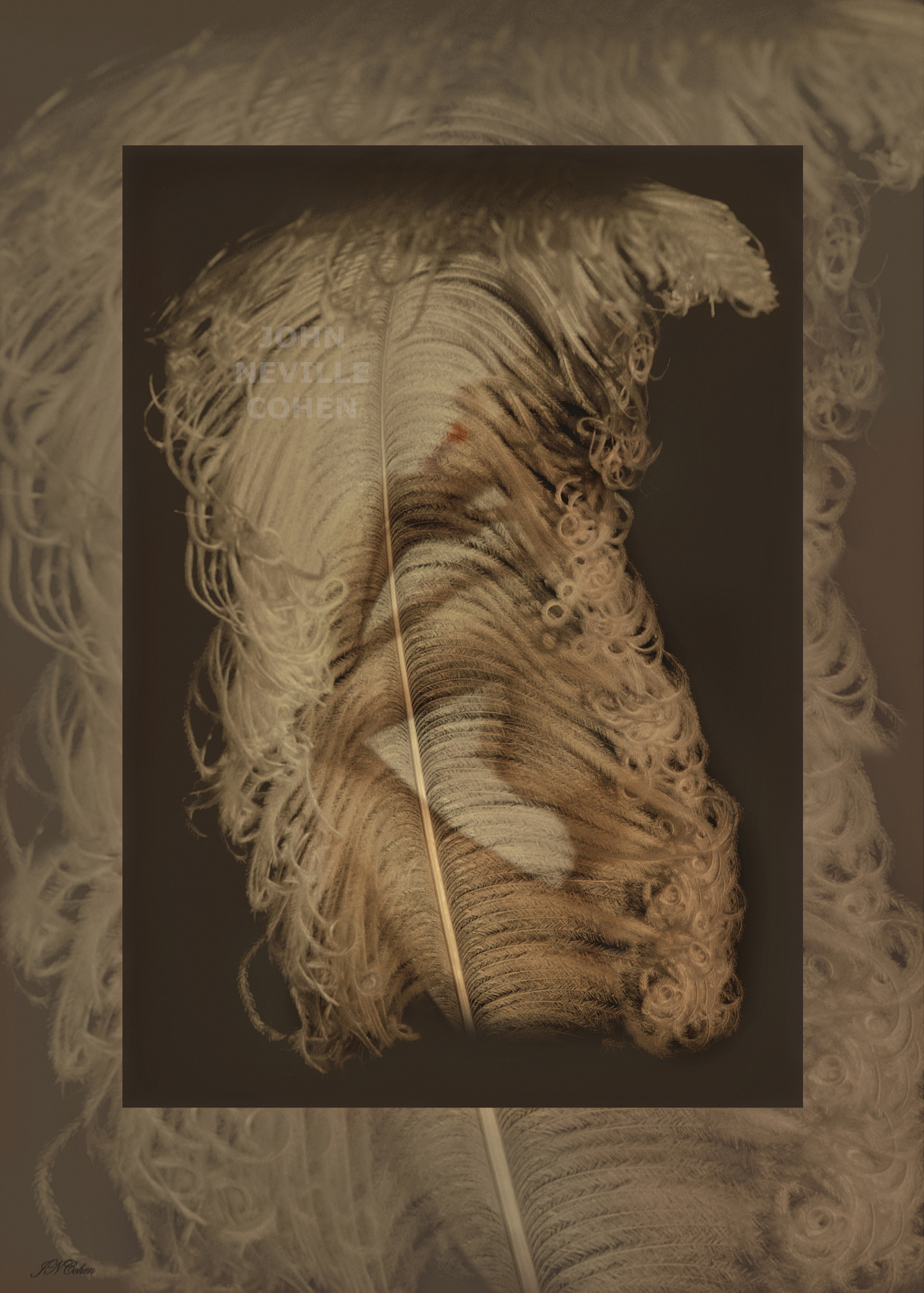 Nude and Feather, Painting with Light Projection Photography Limited Edition Prints for sale, maximum of 8, by John Neville Cohen.