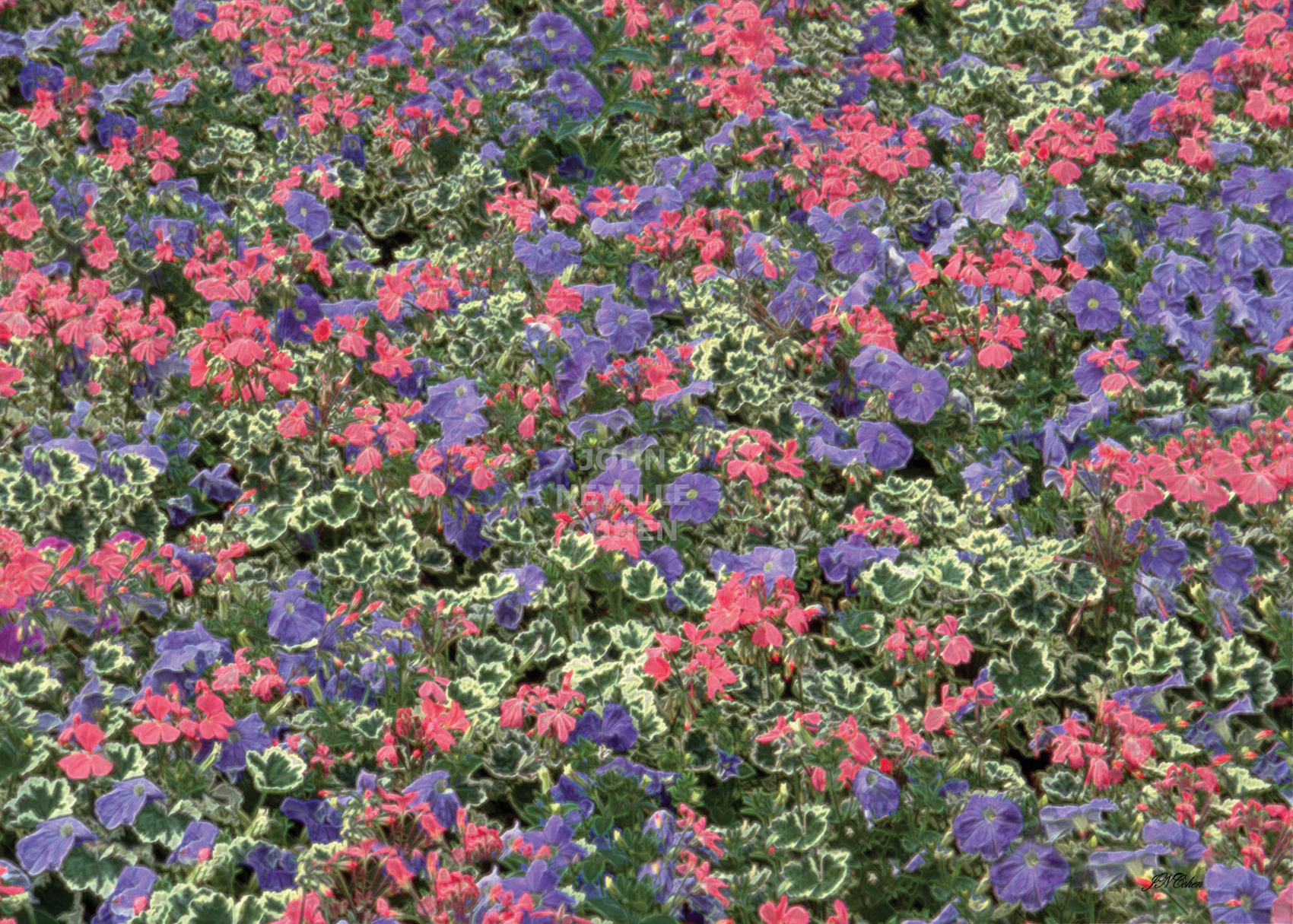 Kaleidoscopic Flora, Painting with Light Projection Photography Limited Edition Prints for sale, maximum of 8, by John Neville Cohen.