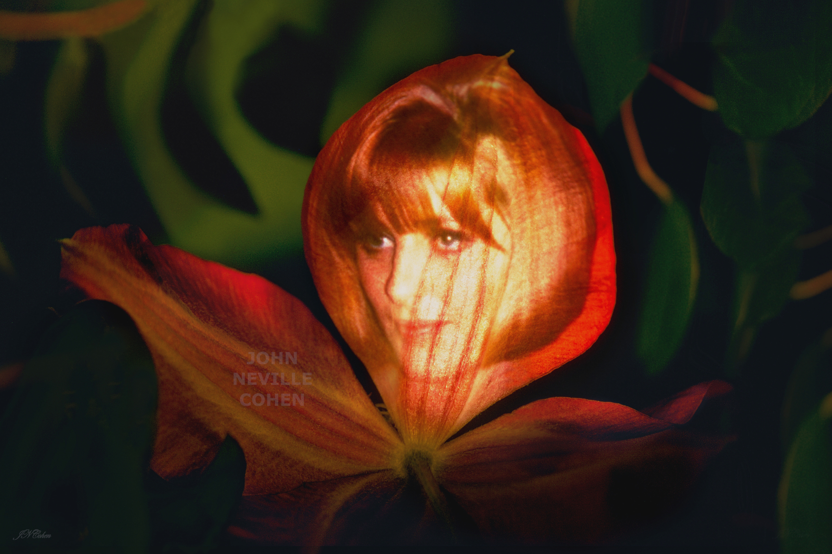 043Flower Maiden, Painting with Light Limited Edition Prints for Sale maximum of 8,  by John Neville Cohen
