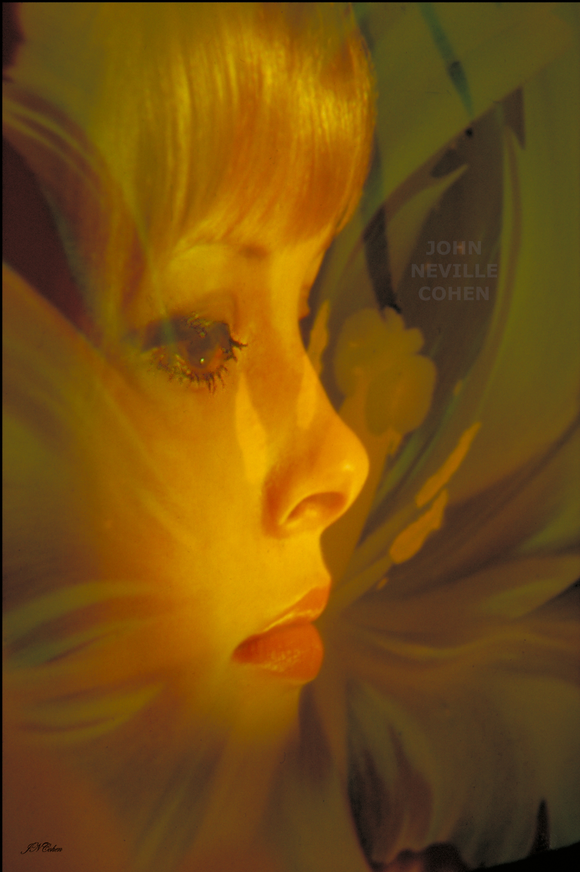 Libido, Painting with Light Projection Photography Limited Edition Prints for sale, maximum of 8, by John Neville Cohen.