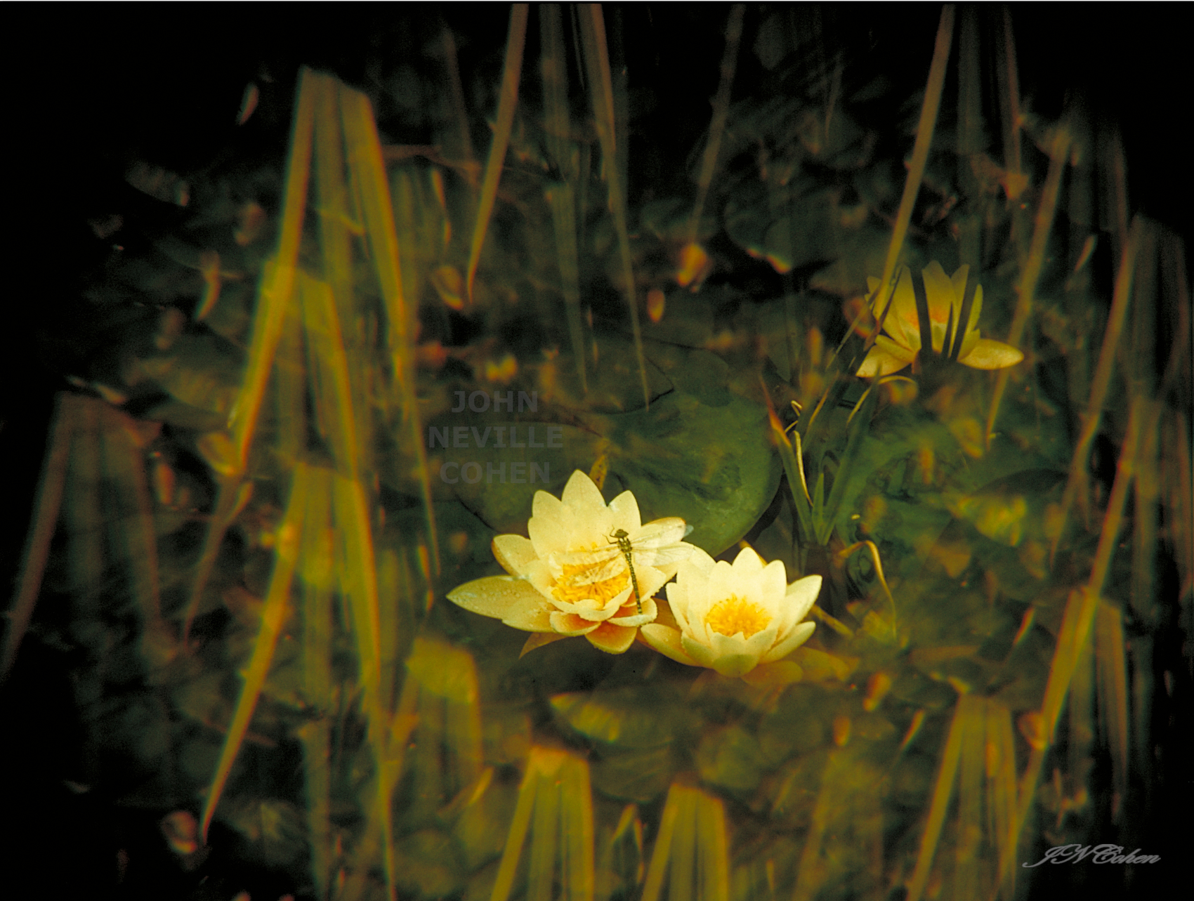 Icy Dream, Painting with Light Projection Photography Limited Edition Prints for sale, maximum of 8, by John Neville Cohen.