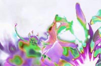 20 Flower Power, by John Neville Cohen