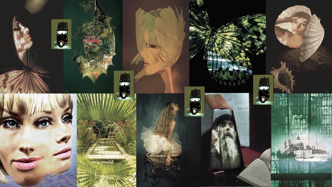 John Neville Cohen Photographic Artist